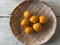 重須にあるOH！MOS (オーモス)に通えば、みかん博士になれそう。（沼津市内浦重須）