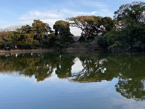 【ぬまづの宝100選】大瀬崎の神池には、たしかに神様がいるかもしれない。（沼津市西浦江梨）