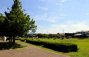 まちなか公園にホームベース埋まってる。思いっきり遊べる日が待ち遠しい！（沼津市原）