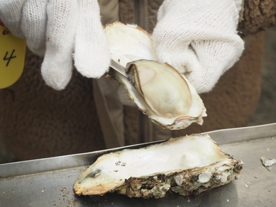 子どもと牡蠣焼き体験は、浜名湖の牡蠣が学べる「海湖館」へ！