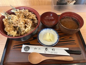 【ぬまつーグルメ】春は天丼。和食処春日は今日も常連さんや職人さんで賑わっていた。（沼津市西条町)