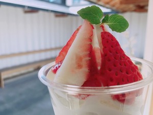 武井牧場の濃厚ソフトクリームのいちごパフェ食べてきた。つぎはなにパフェ食べようかな。沼津市西熊堂