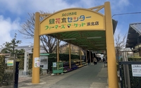 【子連れで行ってみた！】県内最大級！まるで植木や花のテーマパーク！浜北営農緑花木センター【イベント情報あり！】