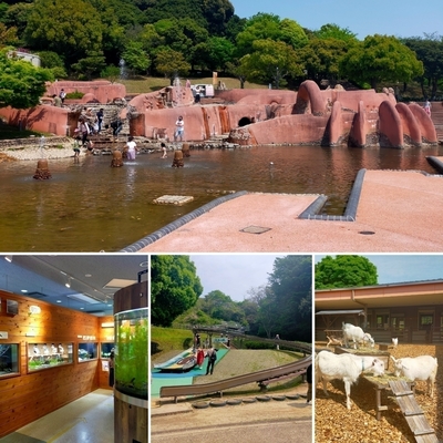 愛知県豊川市「赤塚山公園」は水遊び、公園、動物広場や淡水魚水族館まで！？一日中楽しめました♪