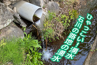 【ひゃっこい！湧水】　石川の路地裏の2連湧水（沼津市石川）