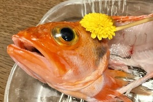 【酒場放浪記２】至福のバス待ち。夜の鮪小屋本店で地魚の刺身をアテにチョイ飲み（沼津市大手町）