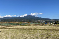 原地区の紅葉がきれい。あんなところもこんなところもいろんな色に。