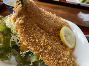 【ぬまつーグルメ】うまいもの街でアジフライがうまい！ふじ田の定食に舌鼓（沼津市下香貫）