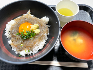 田子の浦港 漁協食堂｜獲れたて生しらすを丼でいただきます！（富士市）