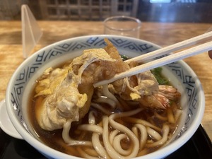 【ぬまつーグルメ】幅田屋でちょっと豪華に天とじうどん食べてきた。揚げたての海老天と溶き玉子がジュワふわでうまー。(沼津市大手町)