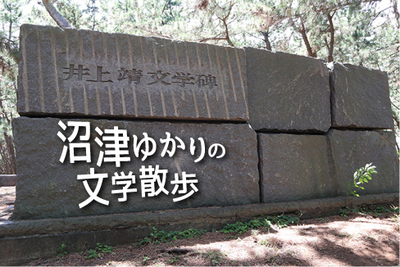 どっちを選ぶ？「沼津ゆかりの文学散歩」はコースがふたつ！文豪コースか芹沢光治良コース。