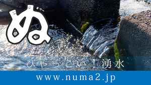 【ひゃっこい！湧水】＜100カ所達成記念＞湧水のまとめ的な動画をつくりました。見てね。