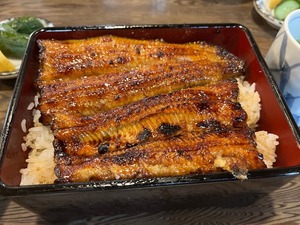 【ぬまつーグルメ】「うなよし」のうな重3,600円。そろそろ本格的な夏が来る。夏バテ防止にうなぎ食べよう。(沼津市上土町)