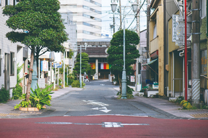 徳川家と関わり深い常磐町二丁目で新しく命名された道『ときわ葵門前通り』と、 それに関わるあれこれを取材してきた