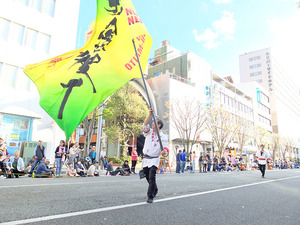 よさこい東海道沼津祭り2023は11月11日と12日！沼津港周辺とか、商店街とか中央公園とかが会場になるみたい。