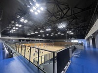 応援だってスポーツだ！ベルテックス静岡と東レアローズの二本立て。沼津にゆかりのある選手も出場するかも。
