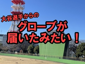 大谷翔平選手からグローブが届いたみたい！市長がXで報告してた！