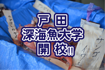 ディープな深海魚の魅力を学んじゃおう！深海魚大学は3月10日開催。もちろん開催地は戸田ですよ！