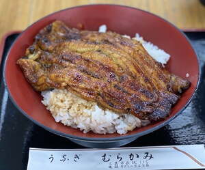 【うなぎのむらかみ 三島】幻の共水うなぎを使った焼きにこだわる鰻店！