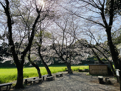 なにかと人気の興国寺城をフィーチャーした講演会＆五月人形の展示をやるって。4月14日に宝珠院（東原）で開催。