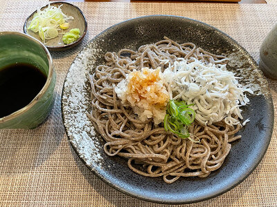 玄蕎麦みずとり｜殻付き蕎麦で香りしっかり！しらすと食べる鬼おろしそば（静岡市）