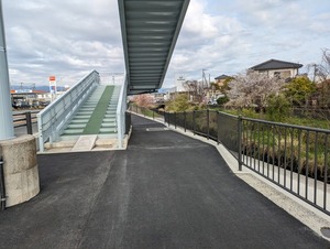 きれいになった中沢田歩道橋周辺。魚の群れも夢じゃない。