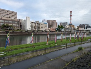 こいのぼりフェスティバルの狩野川。アジの干物も発生中です。