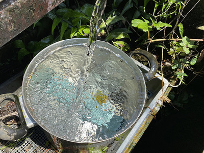 【ひゃっこい！湧水（107）】青野の茶畑の脇の湧水（沼津市青野）