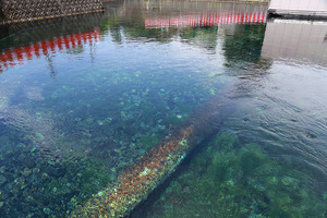 湧水ファンお待ちかね！泉水源地の一般開放は6月2日の日曜日。めったに見られない沼津の水道の聖地を見学だ！