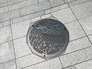 千本に「ポケふた」というものが設置されるらしい（沼津市本）