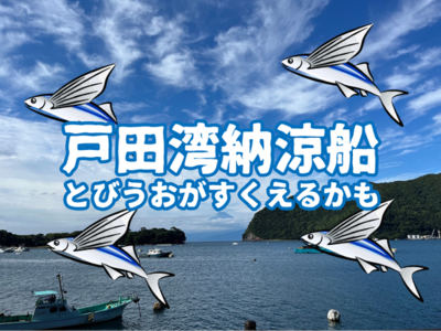 深海魚だけじゃない！！戸田湾でレッツトビウオすくい。納涼がてら魚もゲットだぜ！