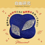 【自由研究】アクセサリーにも夏休みの自由研究にもピッタリ！！葉脈標本を作ってみよう！
