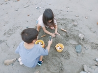 御前崎で貝拾いができる！楽しくてどハマりしちゃう場所教えちゃいます！