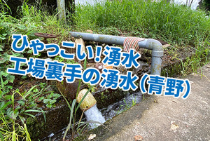 【ひゃっこい！湧水】　青野の工場裏手の湧水（沼津市青野）