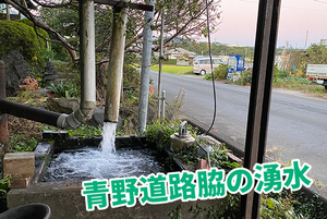 【ひゃっこい！湧水】青野公会堂南の道路脇の湧水（沼津市青野）