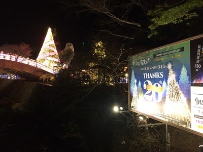 西熊堂にある武井牧場のアイスキャンディーが20周年を迎えた御殿場時之栖イルミネーション「ひかりのすみか」に行ったら、売ってた。