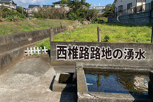 【ひゃっこい！湧水】西椎路の路地にある湧水（沼津市西椎路）