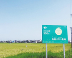 目印の看板