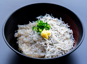 ハーフ丼（生しらすと釜揚げしらすが半々）