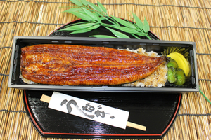 静岡うなぎ漁業協同組合 吉田売店