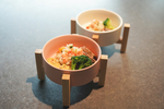 ワンちゃんご飯