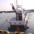 毎日新鮮な魚を提供！店主みずから釣りに行っています！