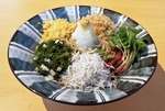 季節限定　しらすおろし蕎麦