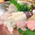 富山から入荷する鮮魚が味わえます