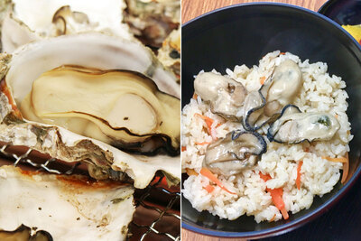 浜名湖特産！​大粒でぷりっぷりの牡蠣をダイレクトに味わえるおすすめスポット2選