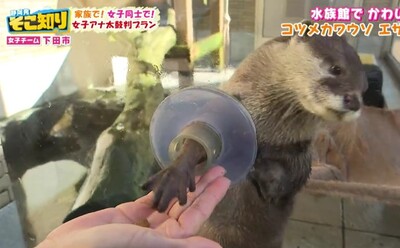 下田海中水族館で思わず「キュン♡」とする癒やされ体験！