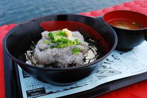 シラス漁解禁！静岡県の漁港で食べられる朝獲れぷりぷりの生シラス丼を味わおう！