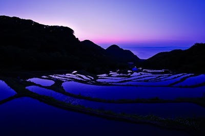 黄金色や空色に包まれる静岡の棚田群。七変化する“日本の原風景”に癒やされてみませんか