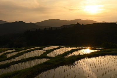 夕焼けに染まる幻想的な風景　浜松市北区・久留女木の棚田