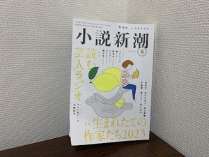 【実石沙枝子さん、小説新潮に新作】メイドの物語、瞬間急加速